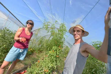 Ils deviennent maraîchers en Creuse : "On veut que nos légumes soient accessibles à tous et nourrir les gens à l'échelle locale"