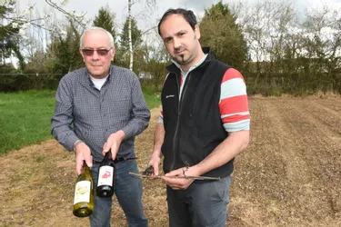 Le Veurdre - La passion du vin selon Gérard Wastyne