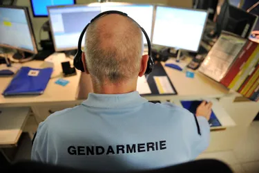 "Puis-je aller aux champignons ?" : les gendarmes du Puy-de-Dôme submergés d'appels liés au confinement