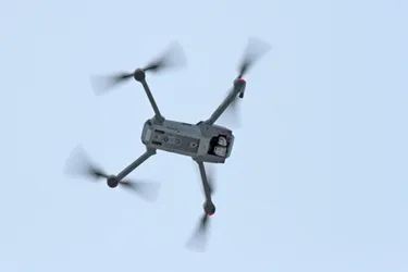 Les drones bousculent le firmament des oiseaux
