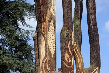 Un arbre sculpté place Thiers