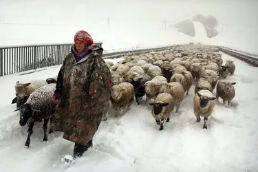 L’« hiver nomade » du film documentaire