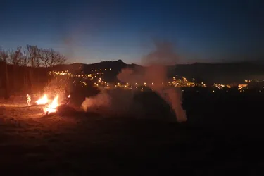 Des feux pour protéger les vignes d'Auvergne du gel de printemps