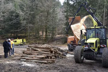 Le Département souhaite valoriser les bois d’élagage