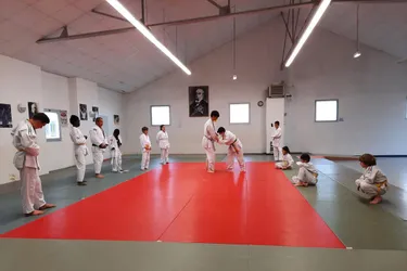Les judokas se retrouvent sur les tatamis