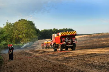 Huit hectares partent en fumée à la limite du Puy-de-Dôme et de l'Allier