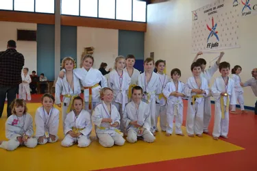 Dix médailles pour les petits judokas