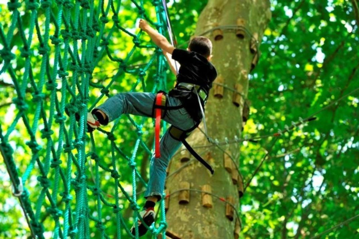 les-plaisirs-de-l-aventure-au-l-o-parc-l-le-charlemagne-la