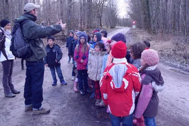 Les écoliers de Jean-Rostand une semaine en forêt