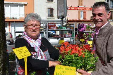 Pousses de légumes, d’aromates et de fleurs investissent les étals d’Issoire et des environs