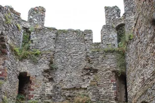 Datant du XIIIe siècle, le château d'Alleuze dresse fièrement ses ruines médiévales en surplomb de la Truyère