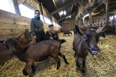 La ferme de la Clairière cherche un(e) associé(e) pour produire du fromage de chèvre en Creuse