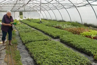 Le Jardin Solidaire fait sa « Journée des plants »