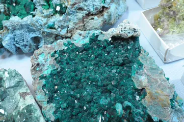 Des milliers de pierres au Salon des minéraux