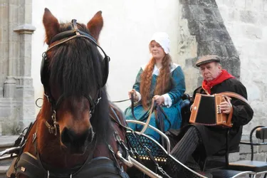 Fabio, cheval maursois au concours à Paris