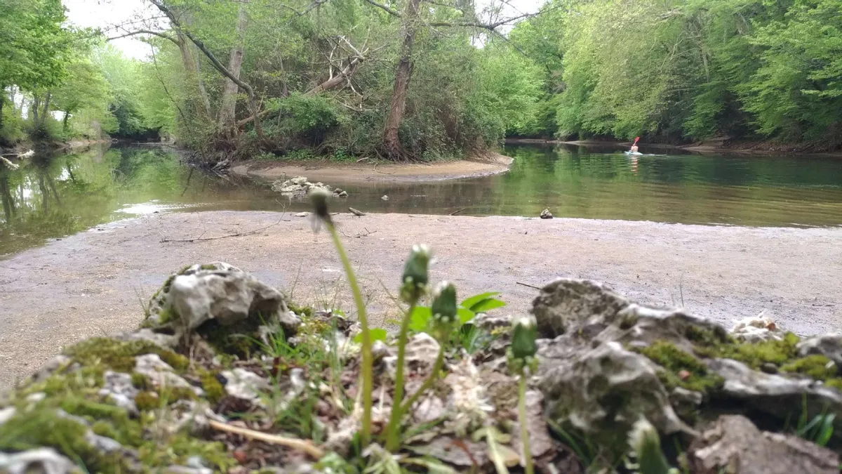 La fabuleuse rivière le Loiret aujourd'hui plongée dans un état de — free download