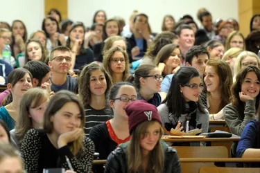 Cursus scolaire en Auvergne : Les filles dament le pion aux garçons [infographie]