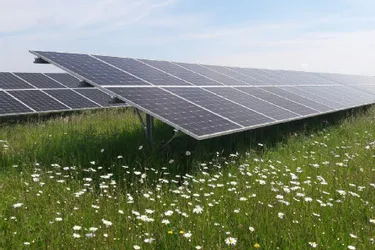 Un agriculteur d'Aubusson veut créer l'un des plus importants parcs solaires de la Creuse sur ses terres