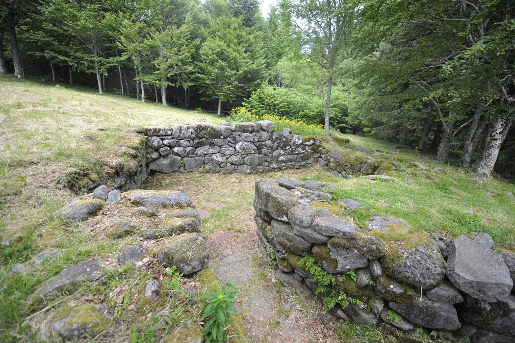 Nos cinq coups de cœur de ce mardi 16 juillet dans le Cantal - La Montagne