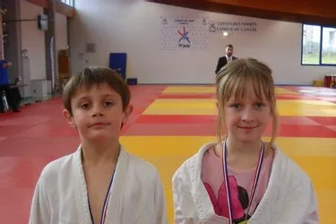 Des médailles pour le Judo Club