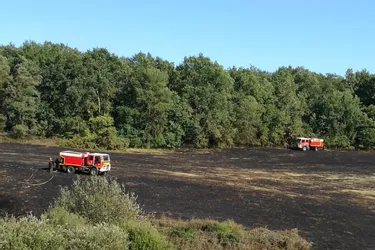 Quatre hectares de champs et de sous-bois partent en fumée à Saint-Pantaléon-de-Larche