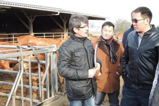 La coopérative des éleveurs de la Marche a reçu la délégation au GAEC Chanton de La Souterraine