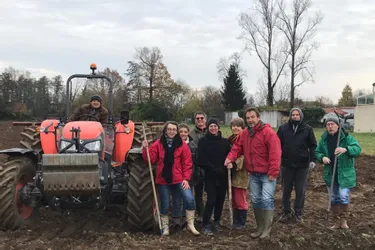 Lutte contre le cancer : le Lions club de Brioude (Haute-Loire) plante 15.000 bulbes de tulipes