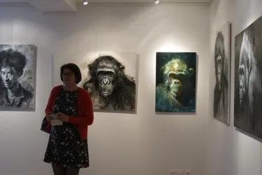 François Cognet présente « Les grands singes/Regards croisés »