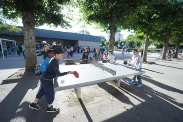 En Creuse, les élèves souhaitent accueillir des microforêts dans leur cour d'école