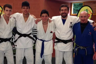 Les judokas vont faire leur retour au dojo
