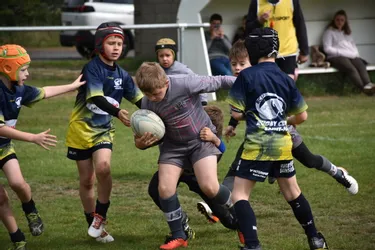 Le rugby est encore un jeu pour ces 400 enfants réunis à Brioude