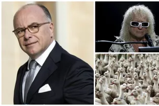 Cazeneuve premier ministre, Le Roux à l’Intérieur, Polnareff "stable"... Les cinq infos du Midi pile