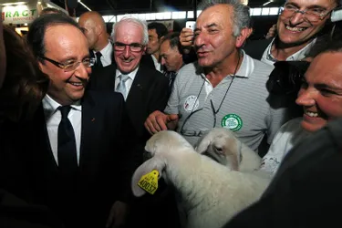 Indiscrétions : François Hollande tape la bise