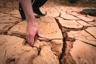 Dans le Cantal, la sécheresse dure et les restrictions d'eau pleuvent