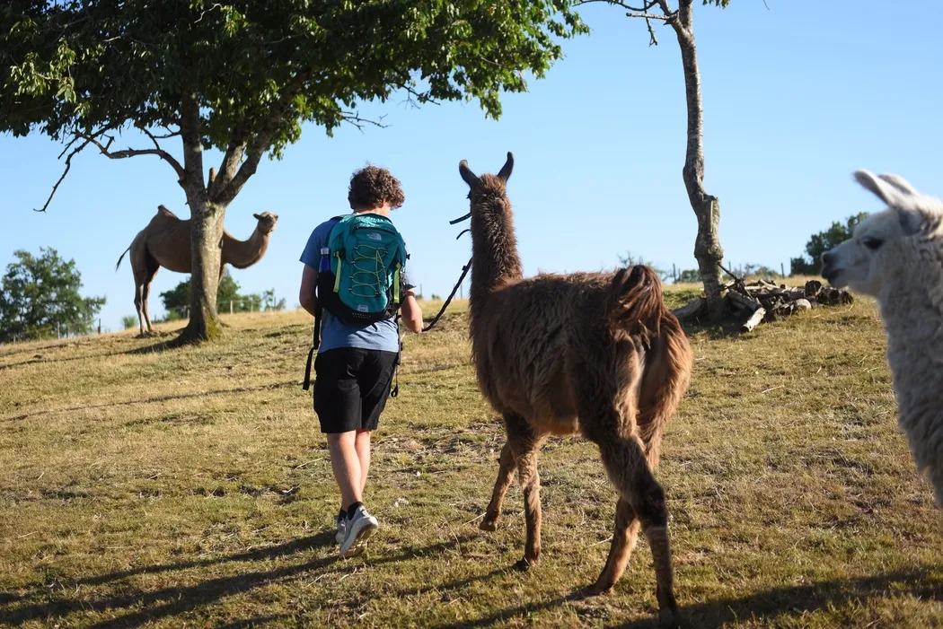 Nos cinq idées de sorties pour ce samedi 23 août dans le Cantal - La ...