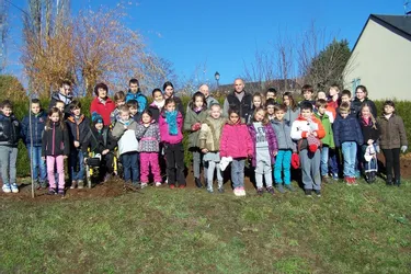 Les enfants ont planté des arbres