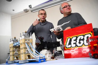 L'exposition Lego® a démarré à la Maison des arts et des sciences à Yzeure (Allier)