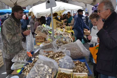 Cèpes, girolles et visiteurs sont attendus les 2 et 3 novembre à la Fête des champignons