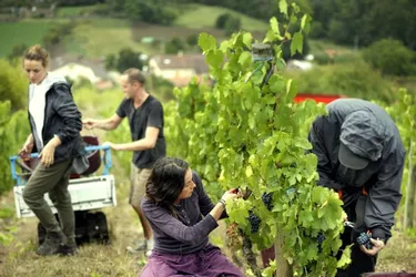 La fédération viticole du Puy-de-Dôme, présidée par Philippe Heyraud, s’est réunie hier matin
