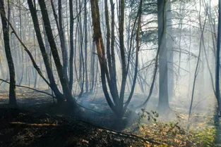 Les pompiers de Corrèze déplorent le nombre de départs de feux, malgré le confinement