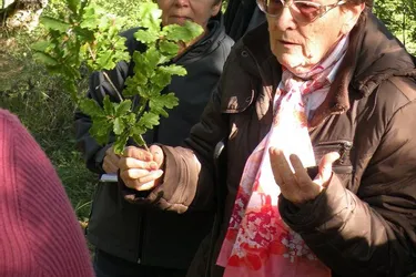 Les participants de l’atelier ont identifié les plantes du versant est de la Margeride
