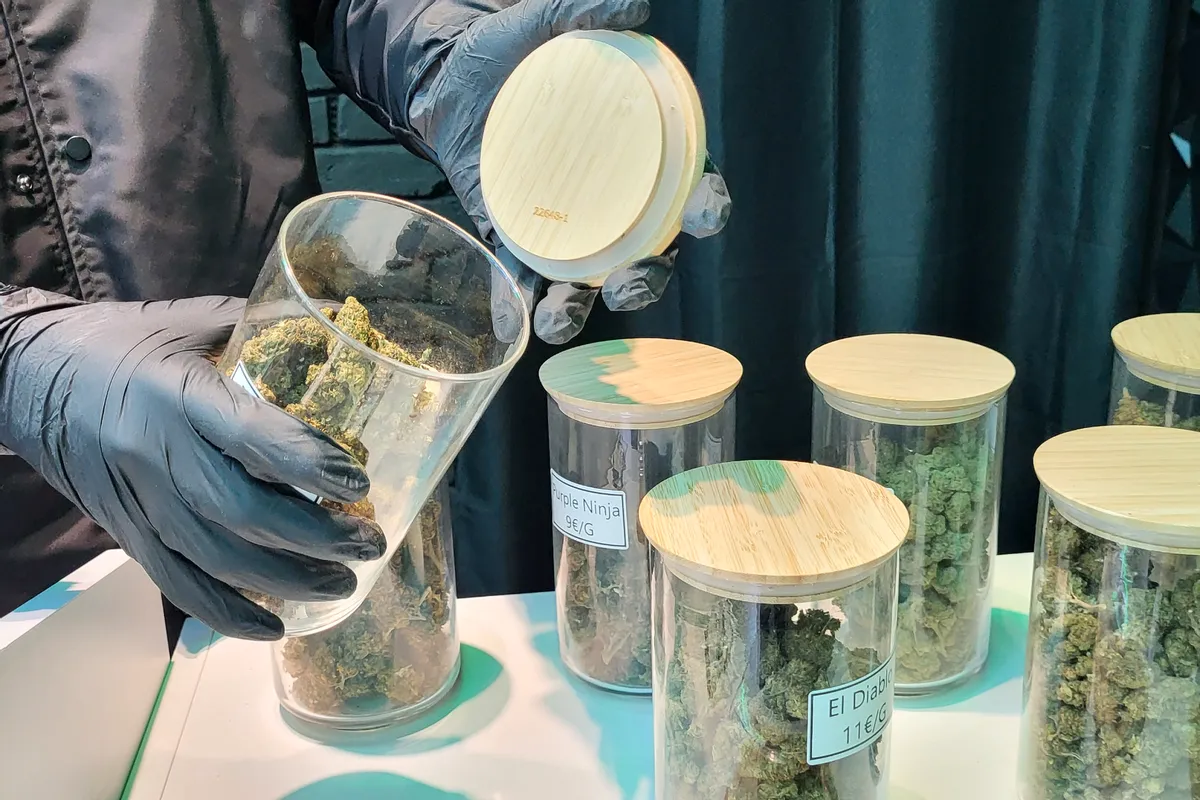 Les boutiques de CBD doivent renoncer à la vente d'huiles, bonbons, cookies et tisanes