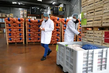 La société Rochias à Issoire, ambitionne la production d'un ail déshydraté 100 % français