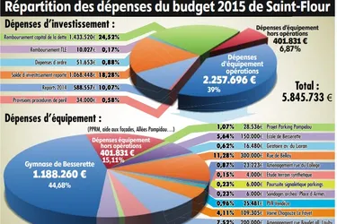 Budget 2015 : des économies pour bien dépenser
