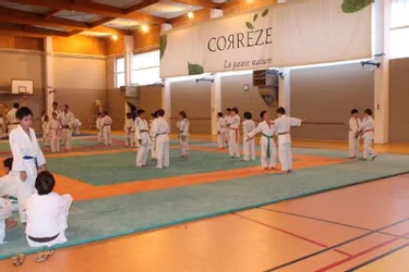 Résultats probants des jeunes judokas