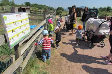 Les enfants du Multi-accueil intercommunal en visite à la ferme