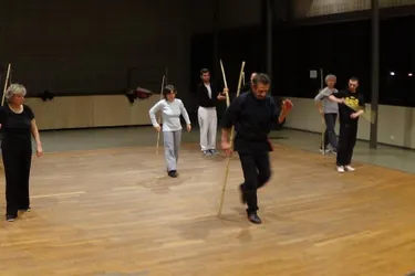 Le Wushu une pratique qui fête ses 10 ans