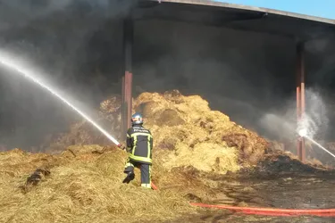 Clermont: 1.500 tonnes de fourrage partent en fumée